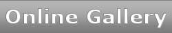 Oblo Jewellery's Online Gallery
